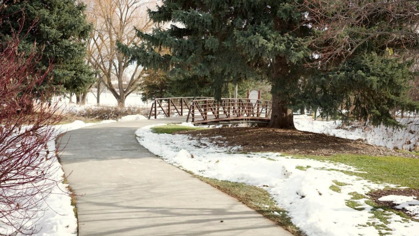 Concrete walkway curving through a park with snow melting along both edges